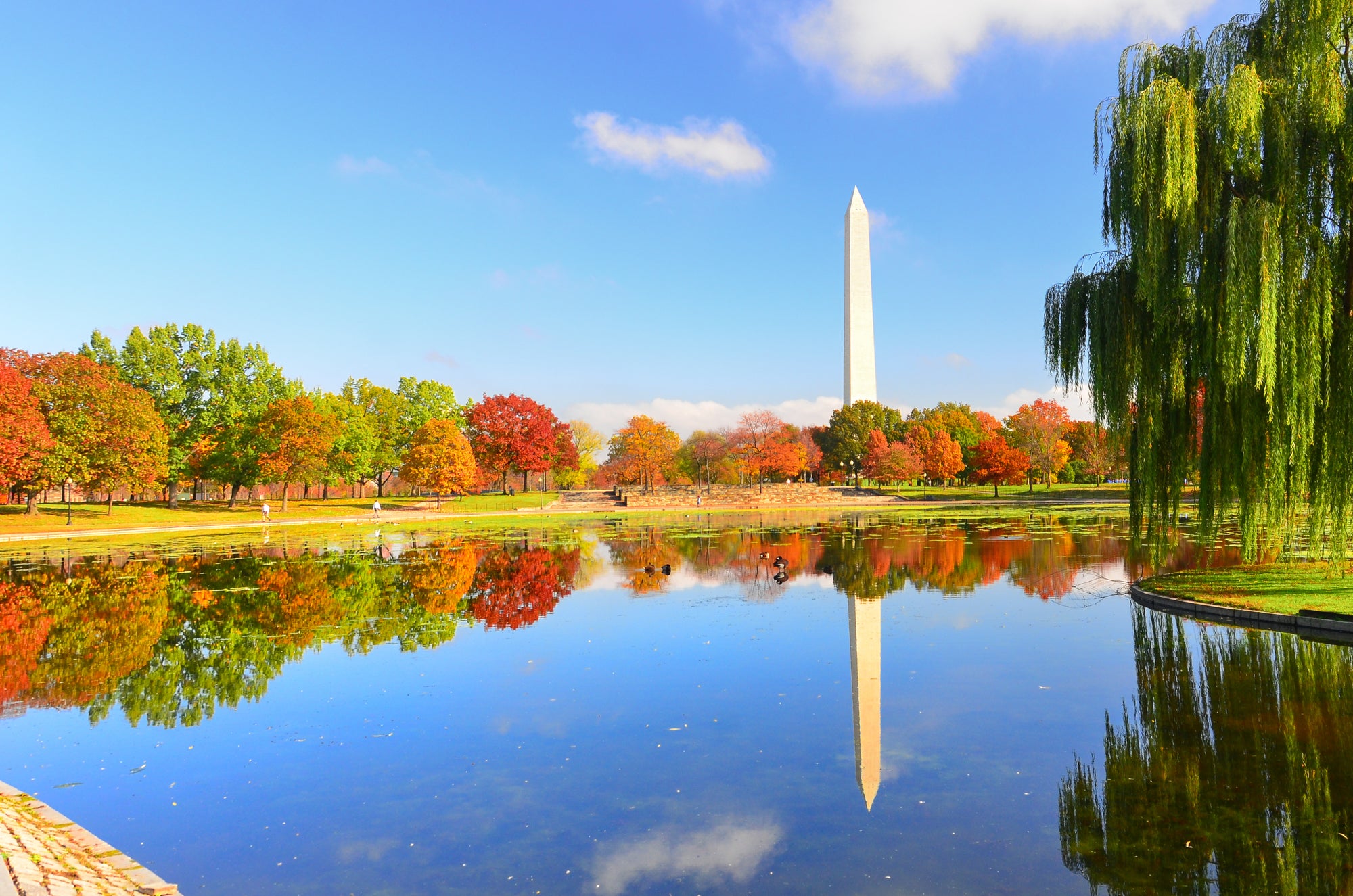 Top 5 Parks in Washington D.C.: Exploring Our Nation’s Capital